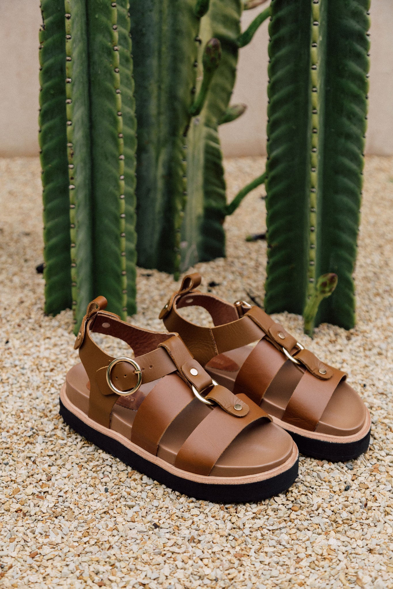 Sol Sandals Camel