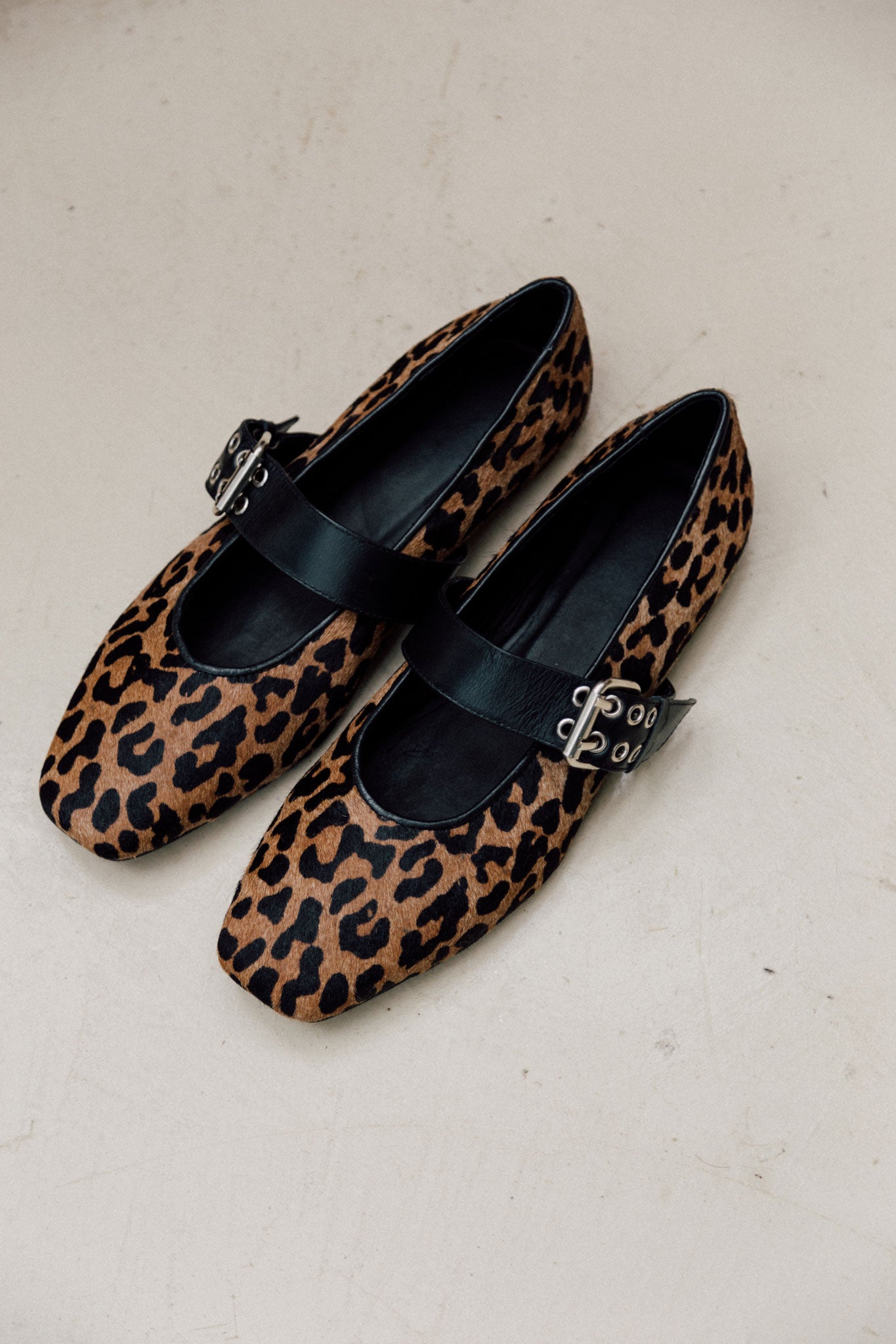 Leo Flats