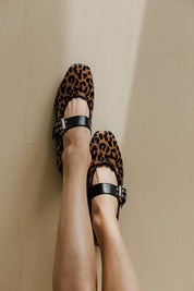 Leo Flats